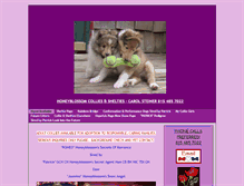 Tablet Screenshot of honeyblossomcollies.com